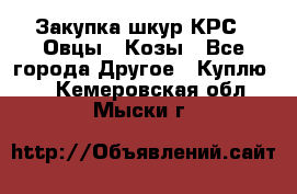 Закупка шкур КРС , Овцы , Козы - Все города Другое » Куплю   . Кемеровская обл.,Мыски г.